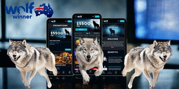 Some info regarding Wolf Winner Casino AU
