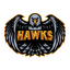 Hawks(counterstrike)