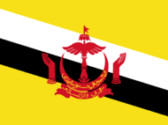 Team Brunei(counterstrike)