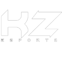 KZ Esports(counterstrike)