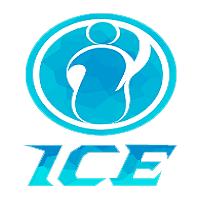 Invictus Gaming.Ice(overwatch)
