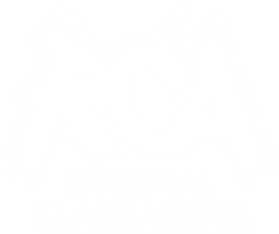 Regional Clash Arena Europe: Closed Qualifier