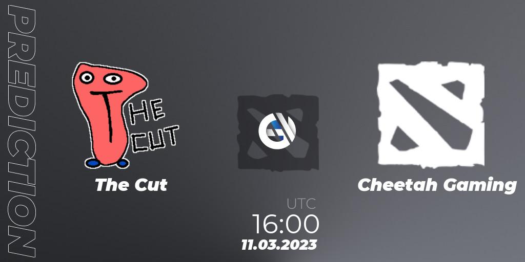 The Cut - Cheetah Gaming: ennuste. 11.03.2023 at 16:39, Dota 2, TodayPay Invitational Season 4