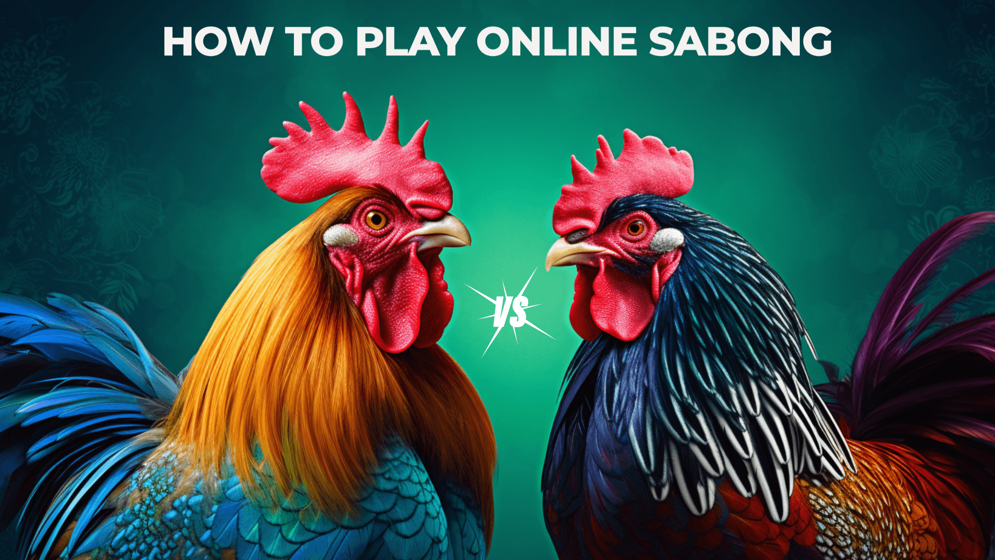 How to Play Online Sabong: Guide