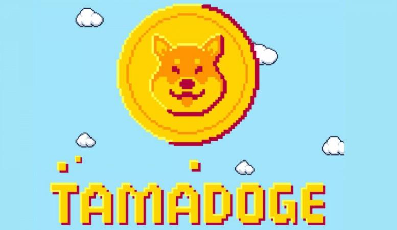 Tamadoge – uusi yritys hypettää Dogecoin tai loistava uutuus NFT- -pelien maailmassa?