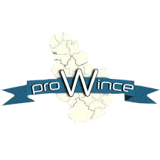 proWince(counterstrike)
