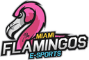 Miami Flamingos (pubg)